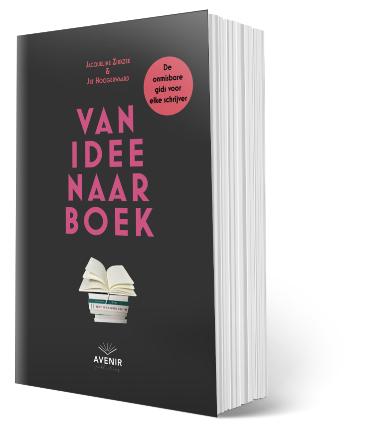 Omslag van het boek Van idee naar boek