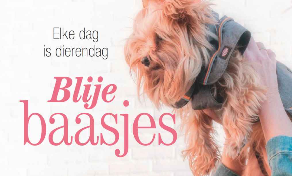 Vrolijke verhalen over huisdieren